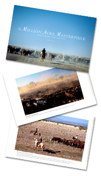 Order A Million Acre Masterpiece book online