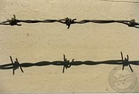 Barbed Wire