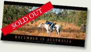 Australian Bush Christmas Card