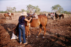 Doing up the lacing, VRD