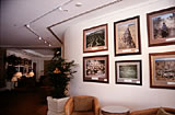 Exhibition - Sofitel, Cairns