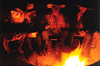 Hot Tea-Cold night, Springvale