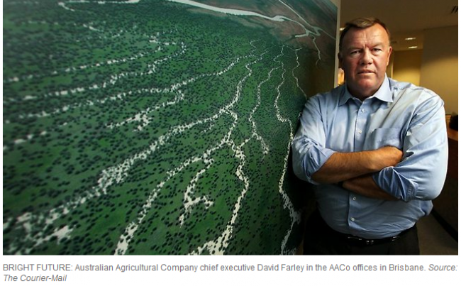 AACo Managing Director David Farley, photographed by the Courier Mail in front of one of my photographs hanging in AACo's head office.