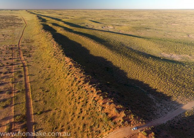 Outback drone photography - on OBE Organic's Adria Downs Station, Birdsville